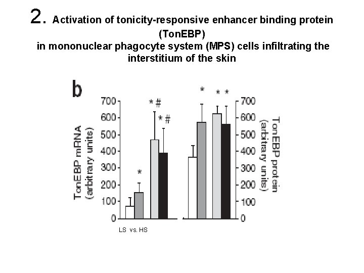 2. Activation of tonicity-responsive enhancer binding protein (Ton. EBP) in mononuclear phagocyte system (MPS)