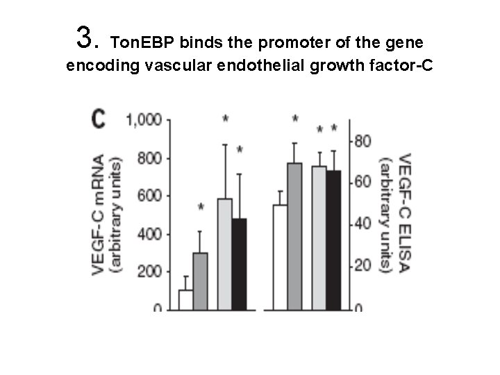 3. Ton. EBP binds the promoter of the gene encoding vascular endothelial growth factor-C