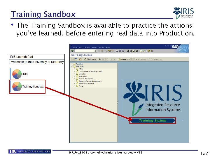 Training Sandbox • The Training Sandbox is available to practice the actions you’ve learned,