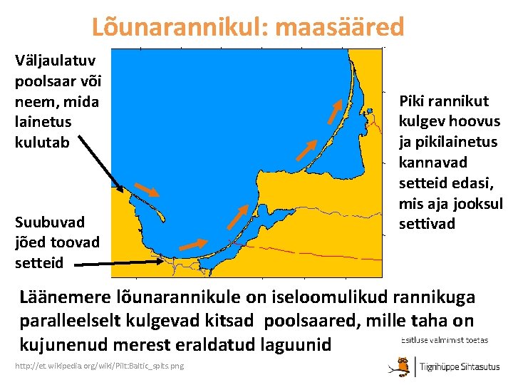 Lõunarannikul: maasääred Väljaulatuv poolsaar või neem, mida lainetus kulutab Suubuvad jõed toovad setteid Piki Lõunarannikul: maasääred Väljaulatuv poolsaar või neem, mida lainetus kulutab Suubuvad jõed toovad setteid Piki
