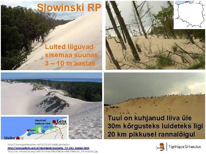 Slowinski RP Luited liiguvad sisemaa suunas 3 – 10 m aastas Tuul on kuhjanud Slowinski RP Luited liiguvad sisemaa suunas 3 – 10 m aastas Tuul on kuhjanud