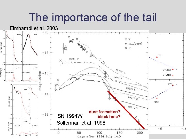 The importance of the tail Elmhamdi et al. 2003 • Attempt to determine the The importance of the tail Elmhamdi et al. 2003 • Attempt to determine the