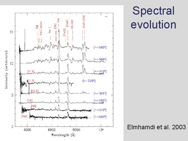 SN 1999 em Spectral evolution Elmhamdi et al. 2003 SN 1999 em Spectral evolution Elmhamdi et al. 2003