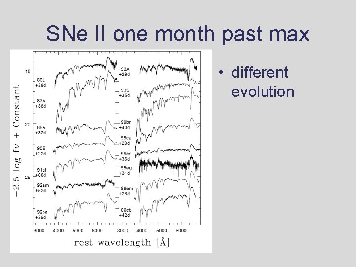 SNe II one month past max • different evolution SNe II one month past max • different evolution