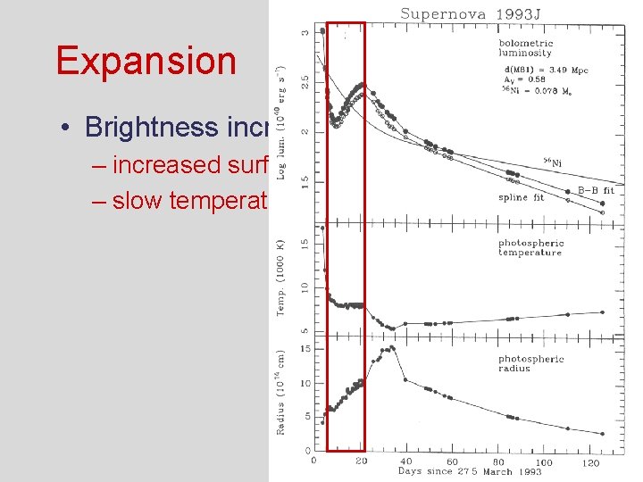 Supernova Graph Supernovae from Massive Stars light curves and spectral