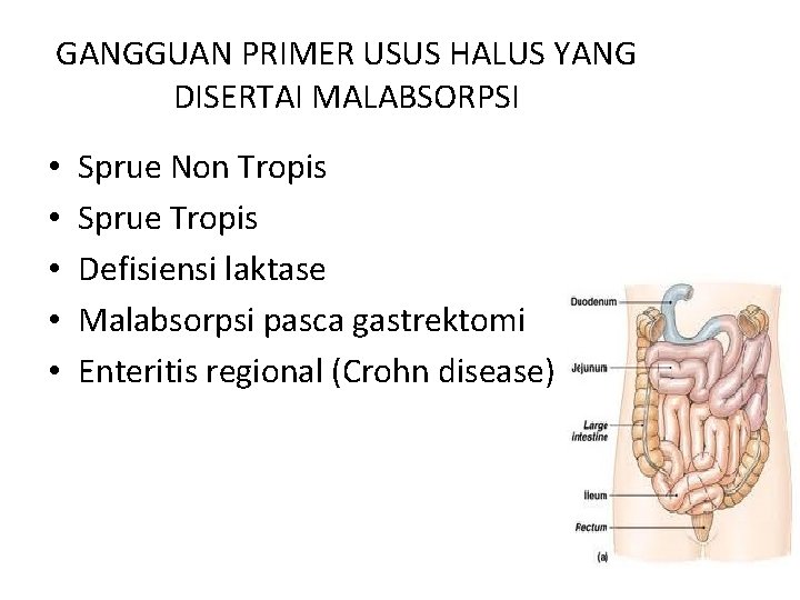 GANGGUAN PRIMER USUS HALUS YANG DISERTAI MALABSORPSI • • • Sprue Non Tropis Sprue