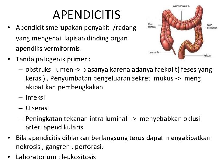 APENDICITIS • Apendicitismerupakan penyakit /radang yang mengenai lapisan dinding organ apendiks vermiformis. • Tanda