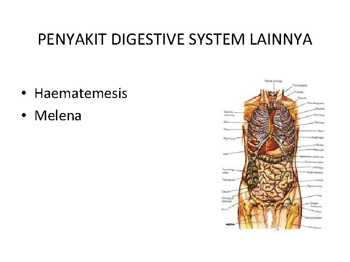 PENYAKIT DIGESTIVE SYSTEM LAINNYA • Haematemesis • Melena 