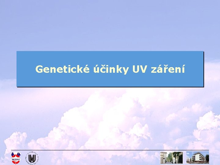 Genetické účinky UV záření 