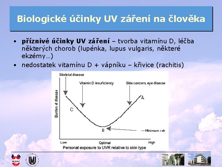 Biologické účinky UV záření na člověka • příznivé účinky UV záření – tvorba vitamínu