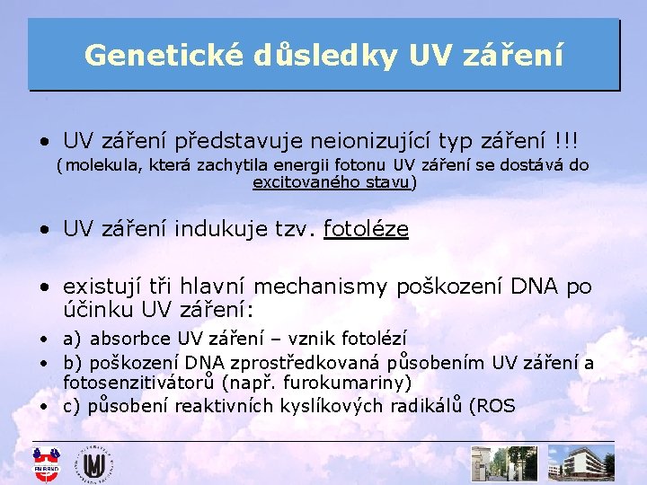 Genetické důsledky UV záření • UV záření představuje neionizující typ záření !!! (molekula, která