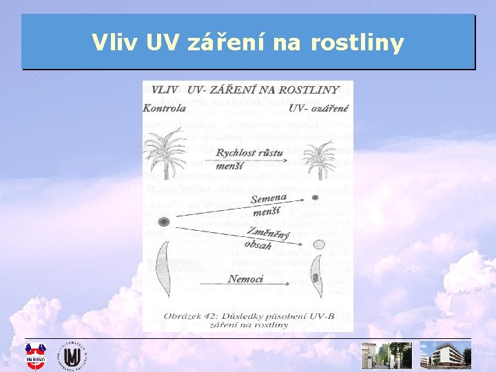 Vliv UV záření na rostliny 