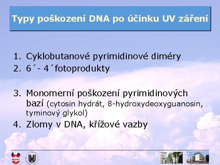 Typy poškození DNA po účinku UV záření 1. Cyklobutanové pyrimidinové diméry 2. 6´- 4´fotoprodukty
