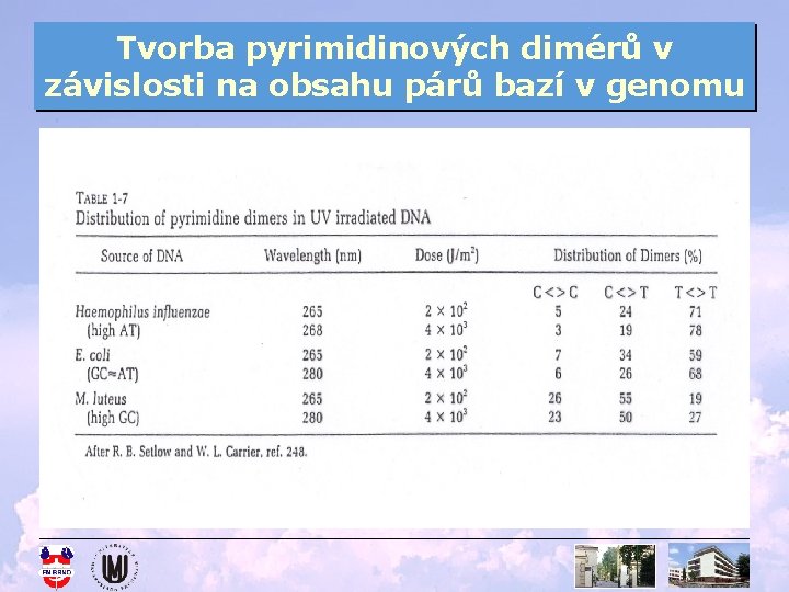 Tvorba pyrimidinových dimérů v závislosti na obsahu párů bazí v genomu 