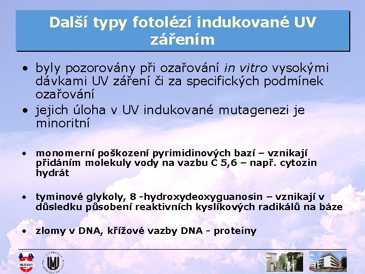 Další typy fotolézí indukované UV zářením • byly pozorovány při ozařování in vitro vysokými