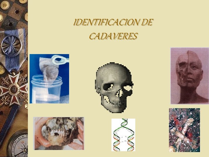 IDENTIFICACION DE CADAVERES IDENTIFICACION DE CADAVERES