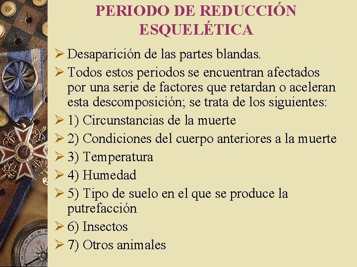 PERIODO DE REDUCCIÓN ESQUELÉTICA Ø Desaparición de las partes blandas. Ø Todos estos periodos PERIODO DE REDUCCIÓN ESQUELÉTICA Ø Desaparición de las partes blandas. Ø Todos estos periodos