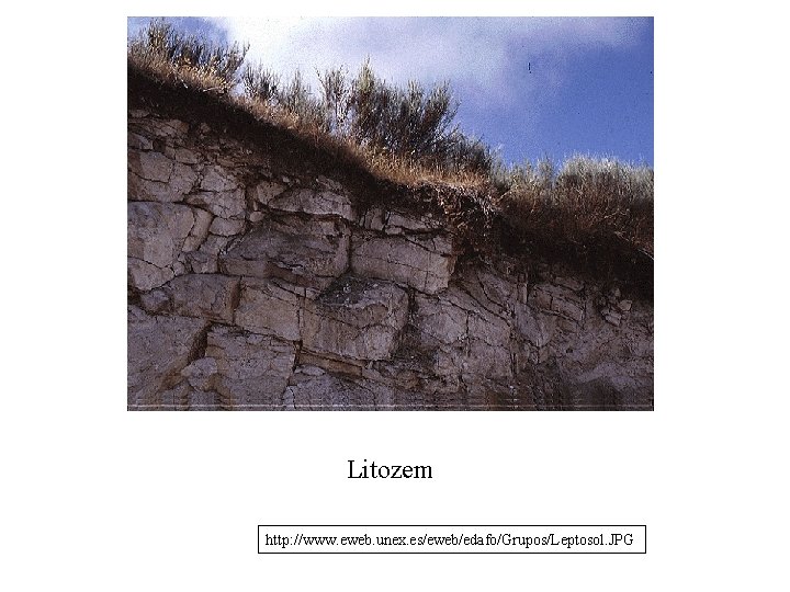 Litozem http: //www. eweb. unex. es/eweb/edafo/Grupos/Leptosol. JPG Litozem http: //www. eweb. unex. es/eweb/edafo/Grupos/Leptosol. JPG