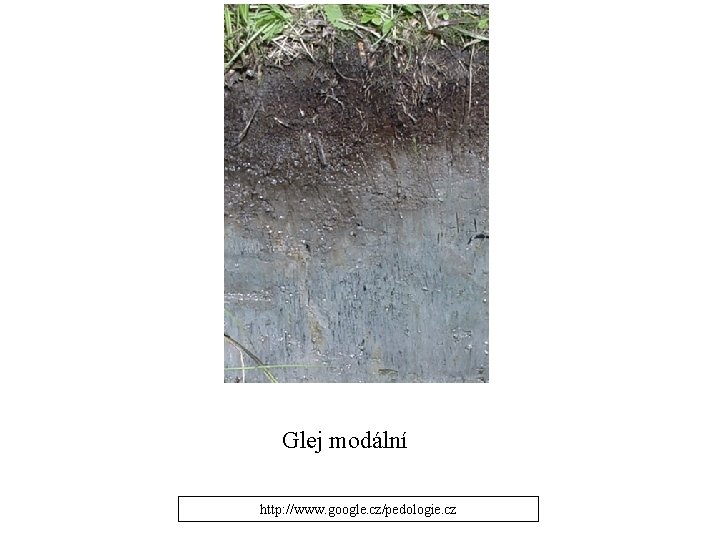 Glej modální http: //www. google. cz/pedologie. cz 