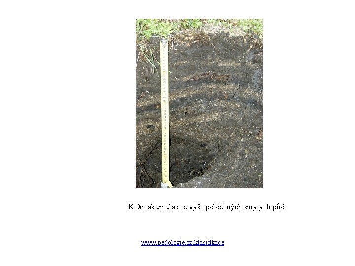 KOm akumulace z výše položených smytých půd. www. pedologie. cz. klasifikace KOm akumulace z výše položených smytých půd. www. pedologie. cz. klasifikace