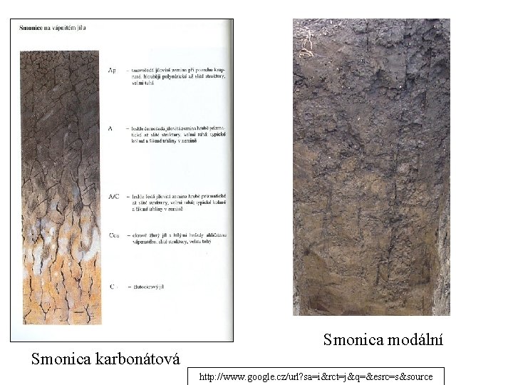 Smonica karbonátová Smonica modální http: //www. google. cz/url? sa=i&rct=j&q=&esrc=s&source Smonica karbonátová Smonica modální http: //www. google. cz/url? sa=i&rct=j&q=&esrc=s&source