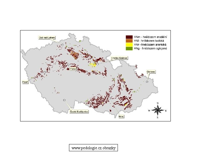 www. pedologie. cz. obrazky 