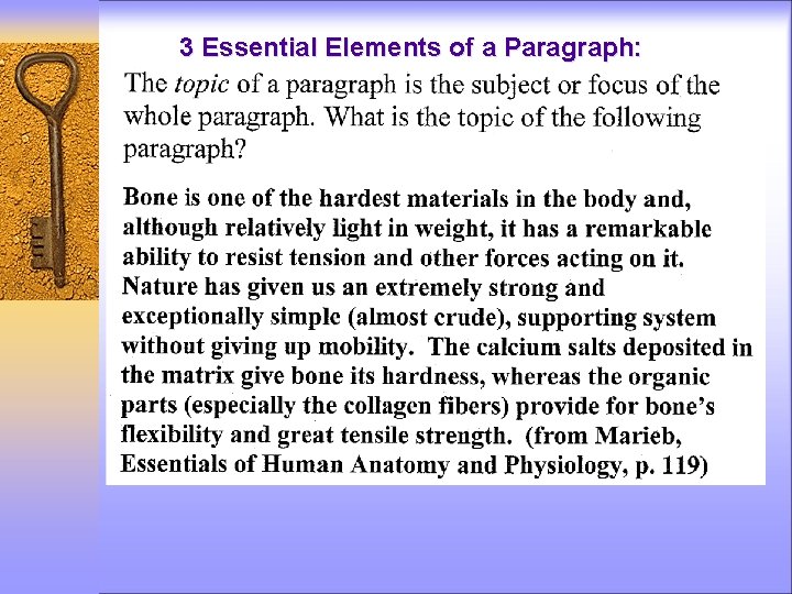 3 Essential Elements of a Paragraph: TOPIC 