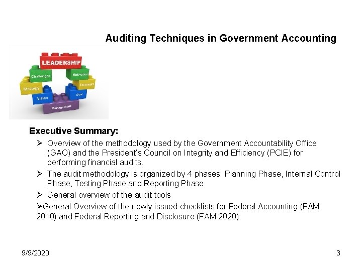 Auditing Techniques in Government Accounting Executive Summary: Ø Overview of the methodology used by