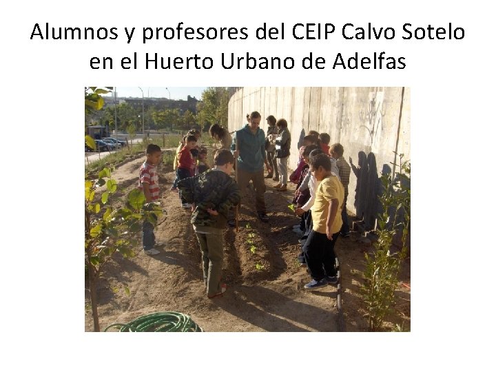 Alumnos y profesores del CEIP Calvo Sotelo en el Huerto Urbano de Adelfas 