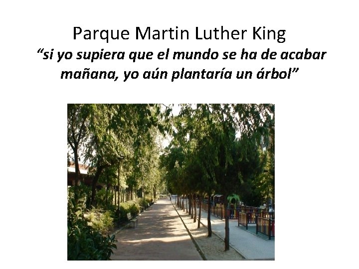 Parque Martin Luther King “si yo supiera que el mundo se ha de acabar