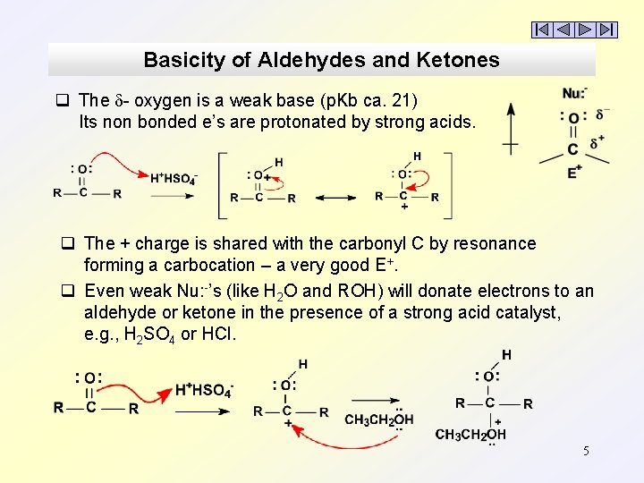 Basicity of Aldehydes and Ketones q The - oxygen is a weak base (p.