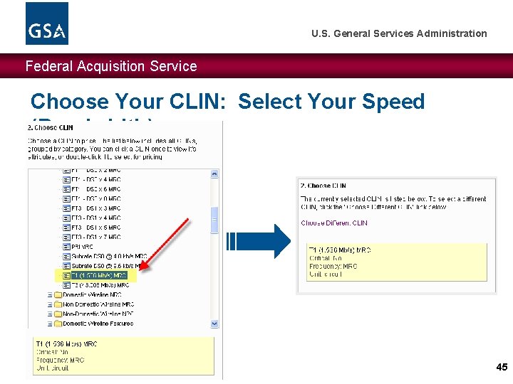 U. S. General Services Administration Federal Acquisition Service Choose Your CLIN: Select Your Speed