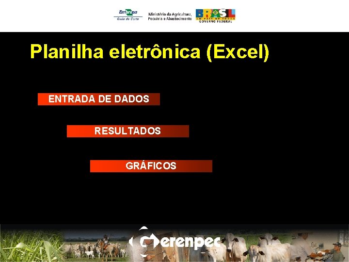 Planilha eletrônica (Excel) ENTRADA DE DADOS RESULTADOS GRÁFICOS 