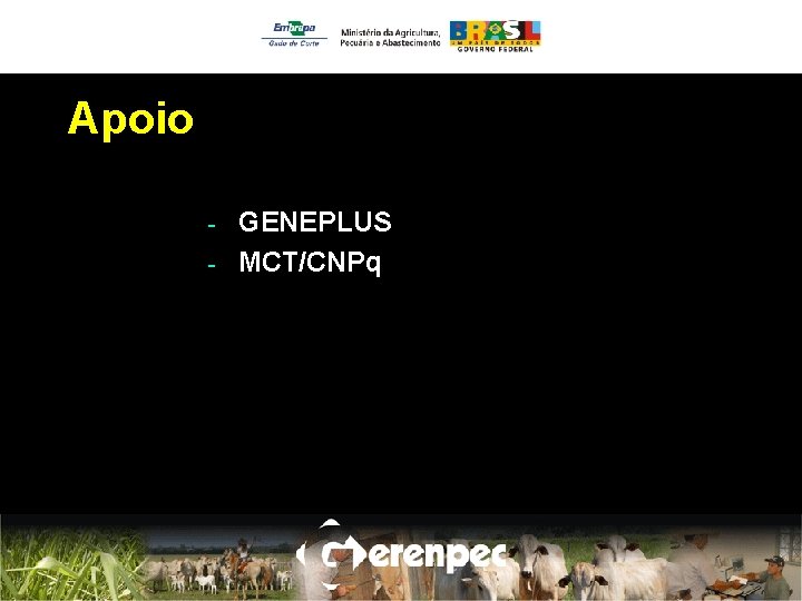 Apoio GENEPLUS - MCT/CNPq - 