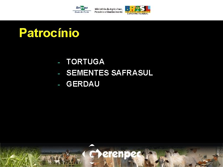 Patrocínio TORTUGA - SEMENTES SAFRASUL - GERDAU - 