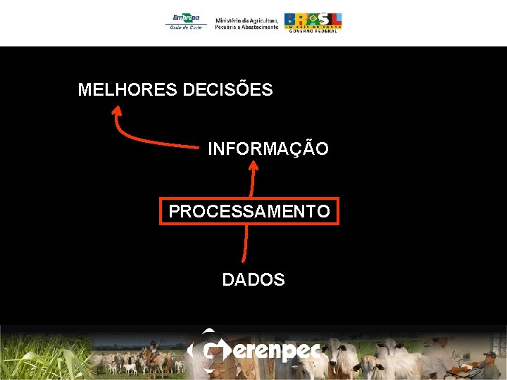 MELHORES DECISÕES INFORMAÇÃO PROCESSAMENTO DADOS 