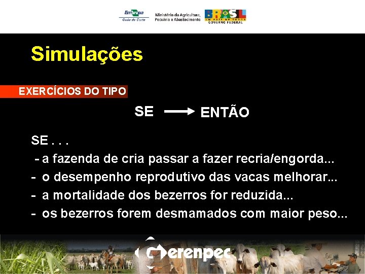 Simulações EXERCÍCIOS DO TIPO SE ENTÃO SE. . . - a fazenda de cria