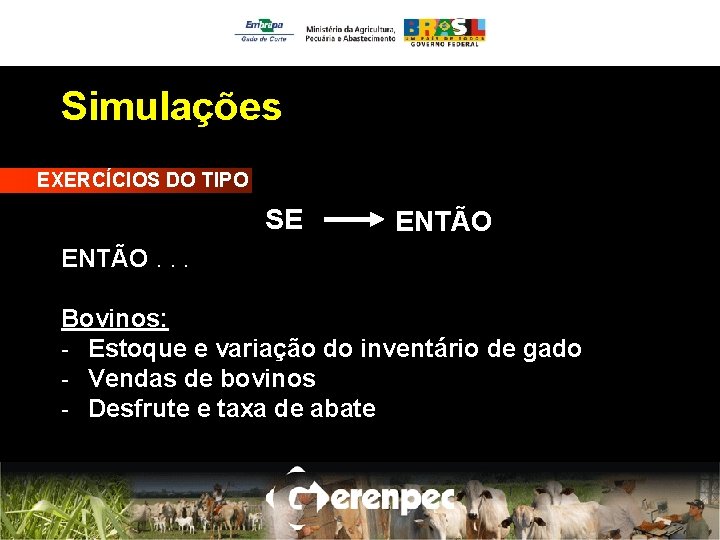 Simulações EXERCÍCIOS DO TIPO SE ENTÃO. . . Bovinos: - Estoque e variação do