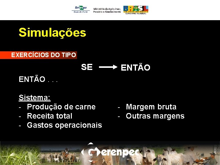 Simulações EXERCÍCIOS DO TIPO SE ENTÃO. . . Sistema: - Produção de carne -