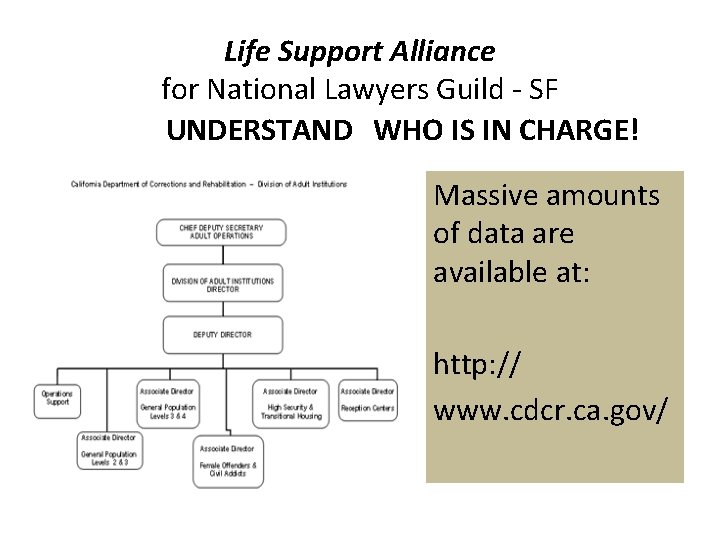 Life Support Alliance for National Lawyers Guild - SF UNDERSTAND WHO IS IN CHARGE!