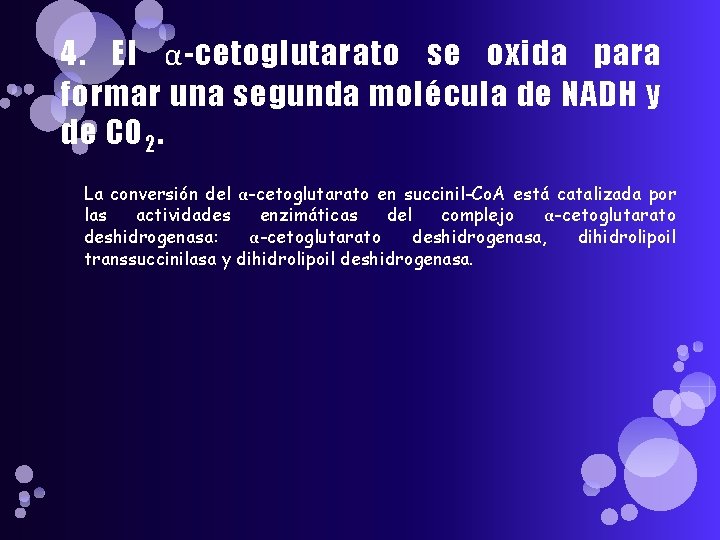 4. El α-cetoglutarato se oxida para formar una segunda molécula de NADH y de