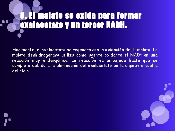 8. El malato se oxida para formar oxalacetato y un tercer NADH. Finalmente, el