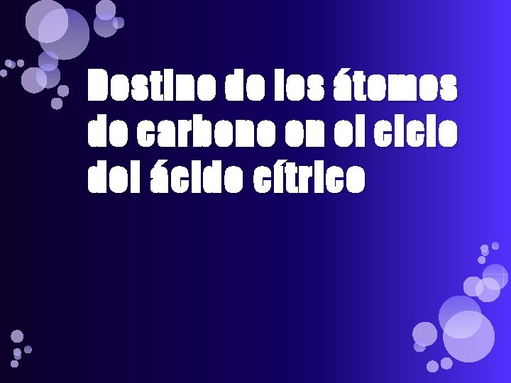 Destino de los átomos de carbono en el ciclo del ácido cítrico 