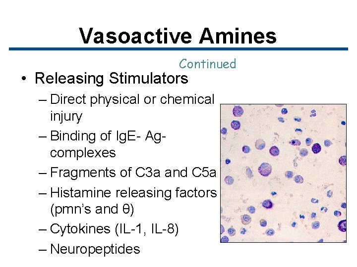 Vasoactive Amines Continued • Releasing Stimulators – Direct physical or chemical injury – Binding