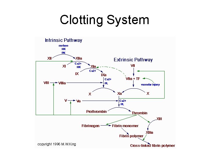 Clotting System 