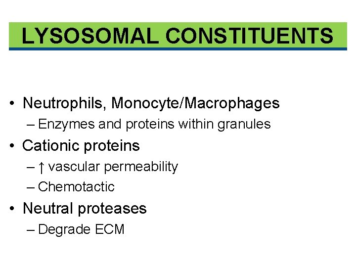 LYSOSOMAL CONSTITUENTS • Neutrophils, Monocyte/Macrophages – Enzymes and proteins within granules • Cationic proteins