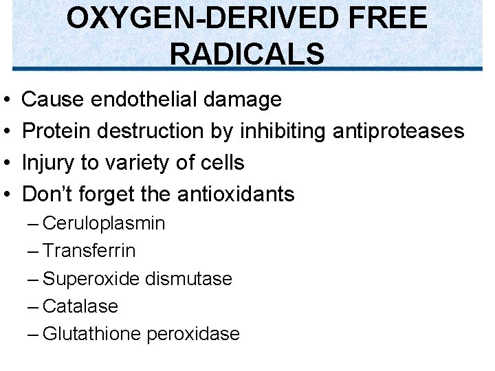 OXYGEN-DERIVED FREE RADICALS • • Cause endothelial damage Protein destruction by inhibiting antiproteases Injury