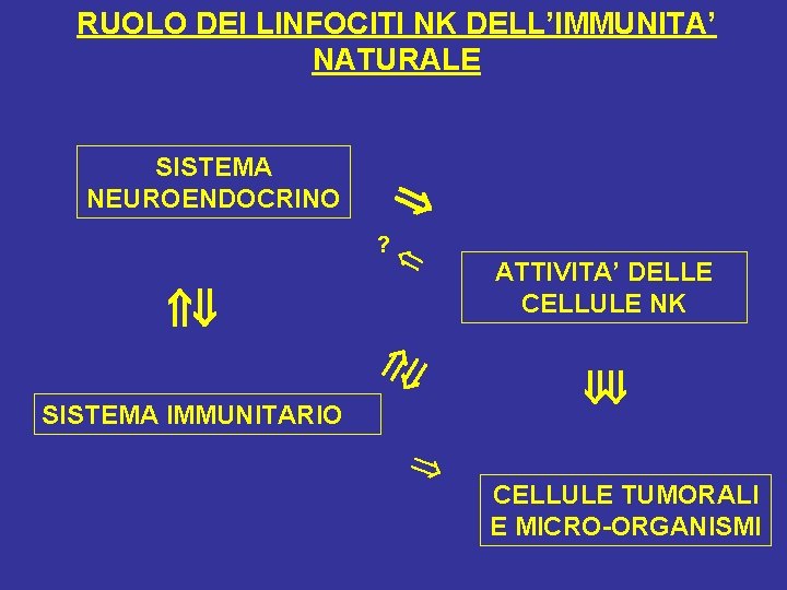 SISTEMA NEUROENDOCRINO RUOLO DEI LINFOCITI NK DELL’IMMUNITA’ NATURALE ? SISTEMA IMMUNITARIO ATTIVITA’ DELLE CELLULE