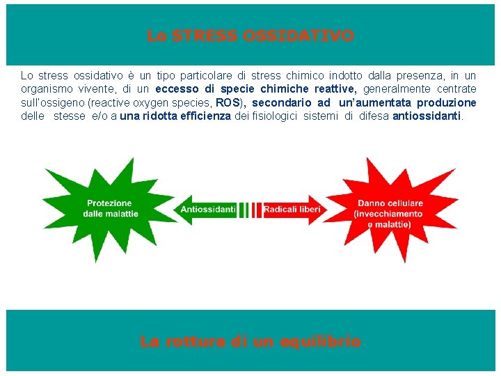 Lo STRESS OSSIDATIVO Lo stress ossidativo è un tipo particolare di stress chimico indotto