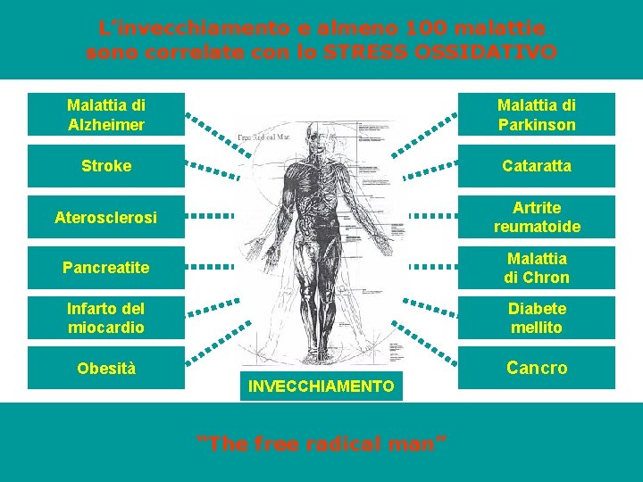 L’invecchiamento e almeno 100 malattie sono correlate con lo STRESS OSSIDATIVO Malattia di Alzheimer